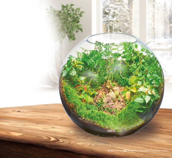 サンプル製品セット。水槽 。流木 。 水生植物の+urbandrive.co.ke