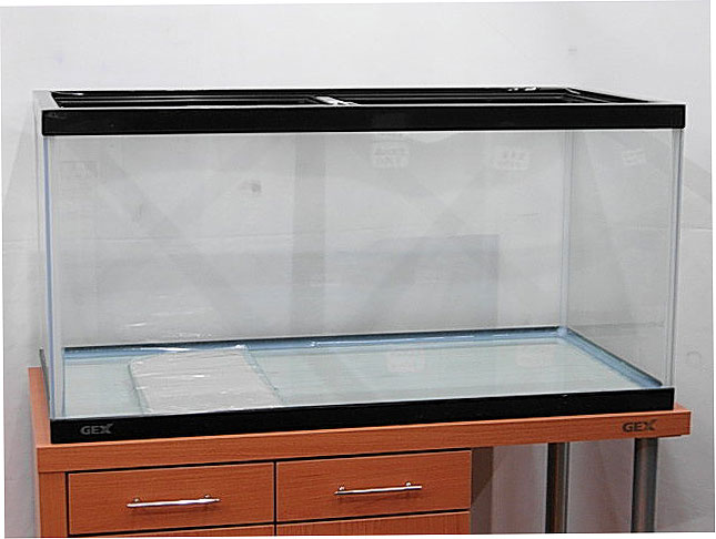 ガラス水槽90cmセット Ninki 21 魚用品 水草 Watanegypt Tv