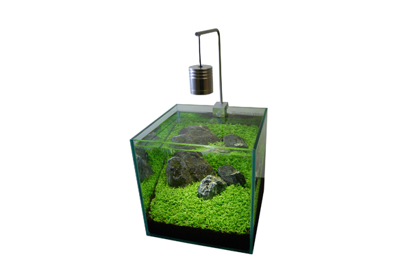 カイヌマ Ledミニペンダントランプ L 小型水槽用スタイリッシュデザインledライト 熱帯魚 水槽 飼育セットの通販なら トロピカルワールド
