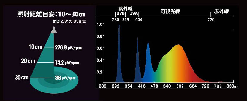 ゼンスイ マイクロ ＵＶ ＬＥＤ 小型紫外線LEDライト 交換球 | 熱帯魚