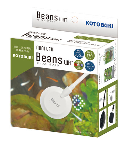 コトブキ ミニＬＥＤ ビーンズ ホワイト Beans 幅25cm以下・小型