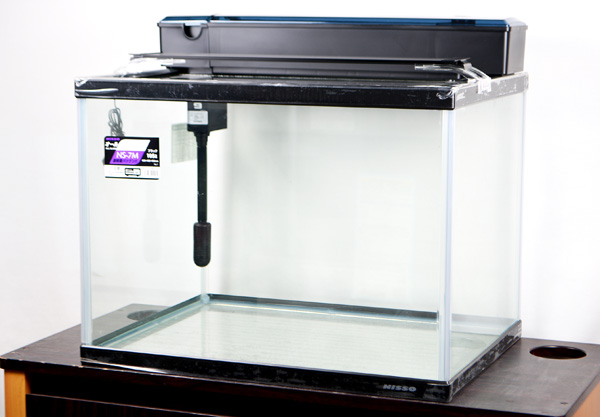 60cmガラス水槽➕海水魚用上部濾過器 - 魚用品/水草